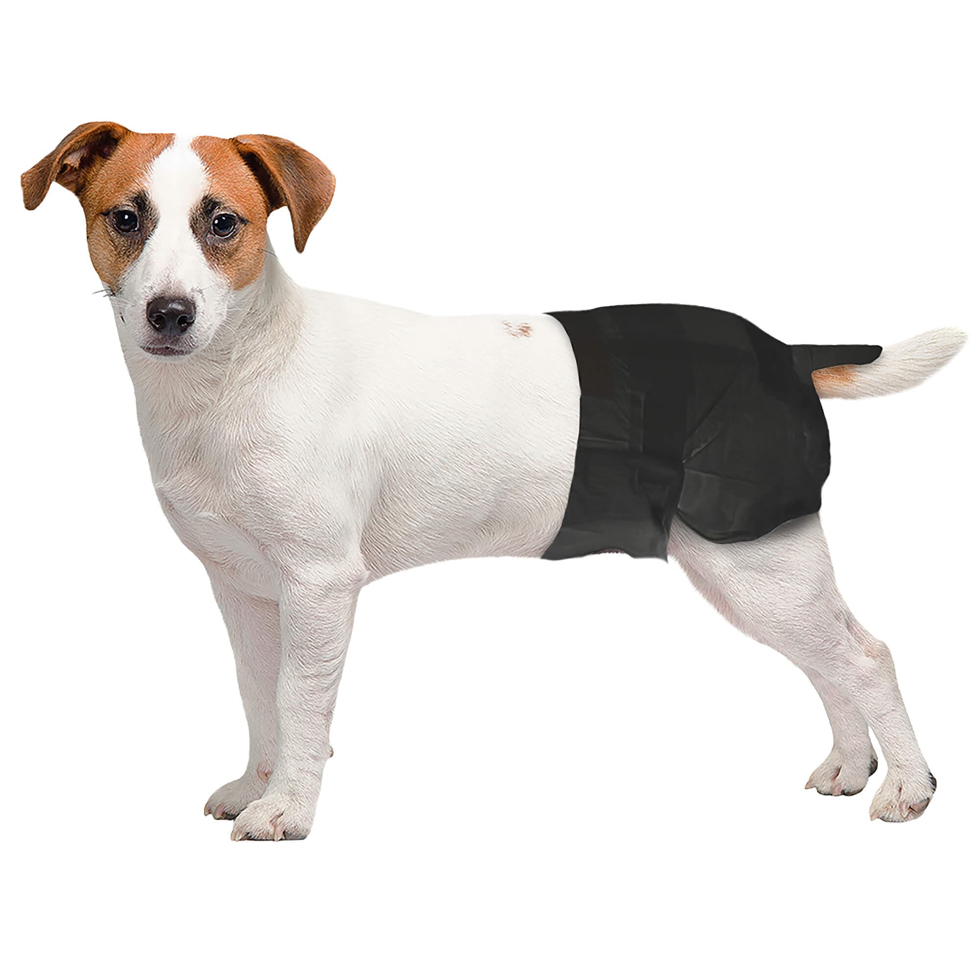 Freezack Hygiène pour chiens 'Couches jetables' M