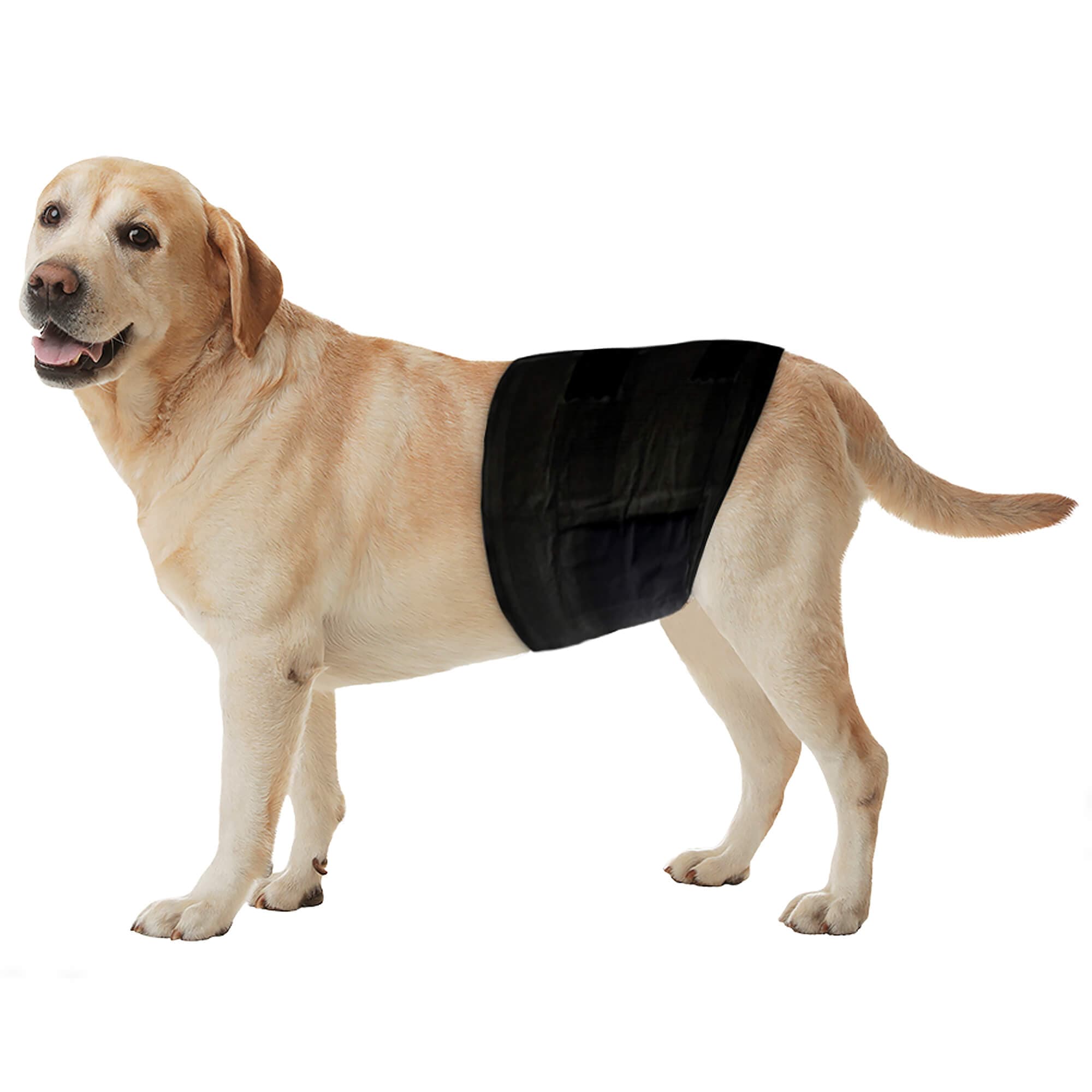 Freezack Hygiène pour chiens 'Couches jetables' M
